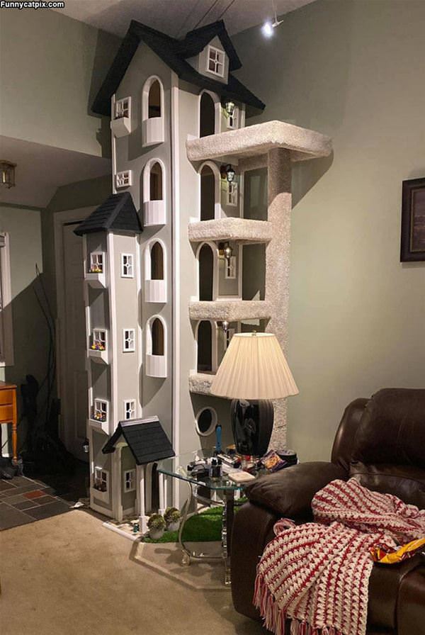 Cat Castle